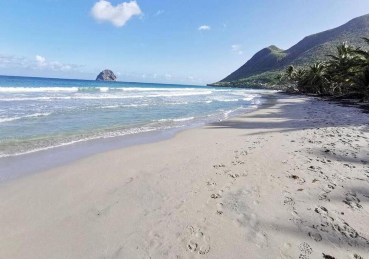 Villa Cocotier A 50 Metres De La Plage Ле-Диаман Экстерьер фото